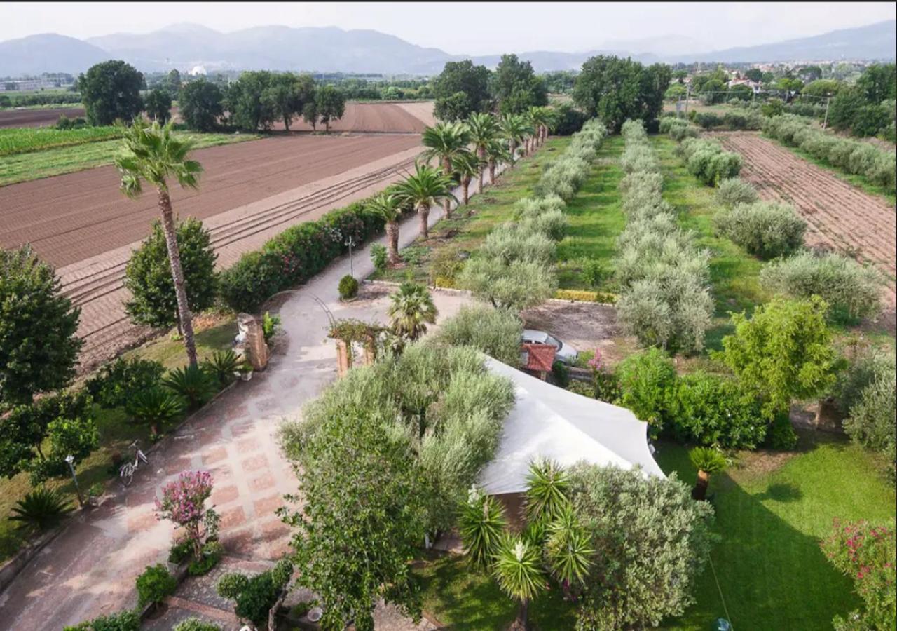 Villa Rosa Lifestyle B&B Sessa Aurunca Exterior photo